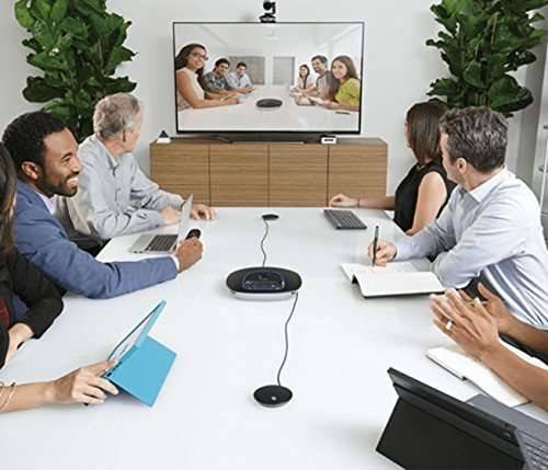 Logitech Group Expansion Microphones  989-000171