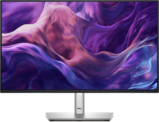 Dell 24